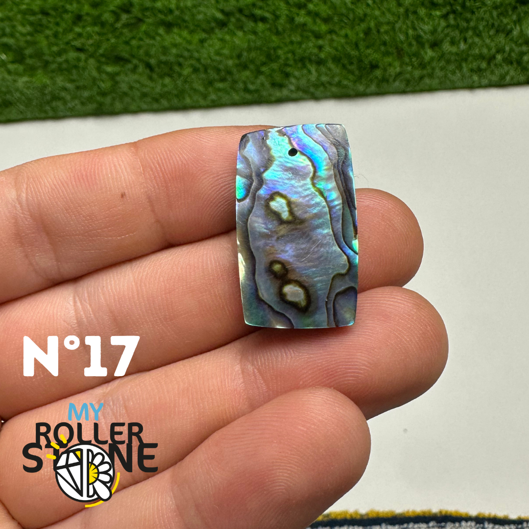 Pendentifs en Abalone Forme Libre 5A