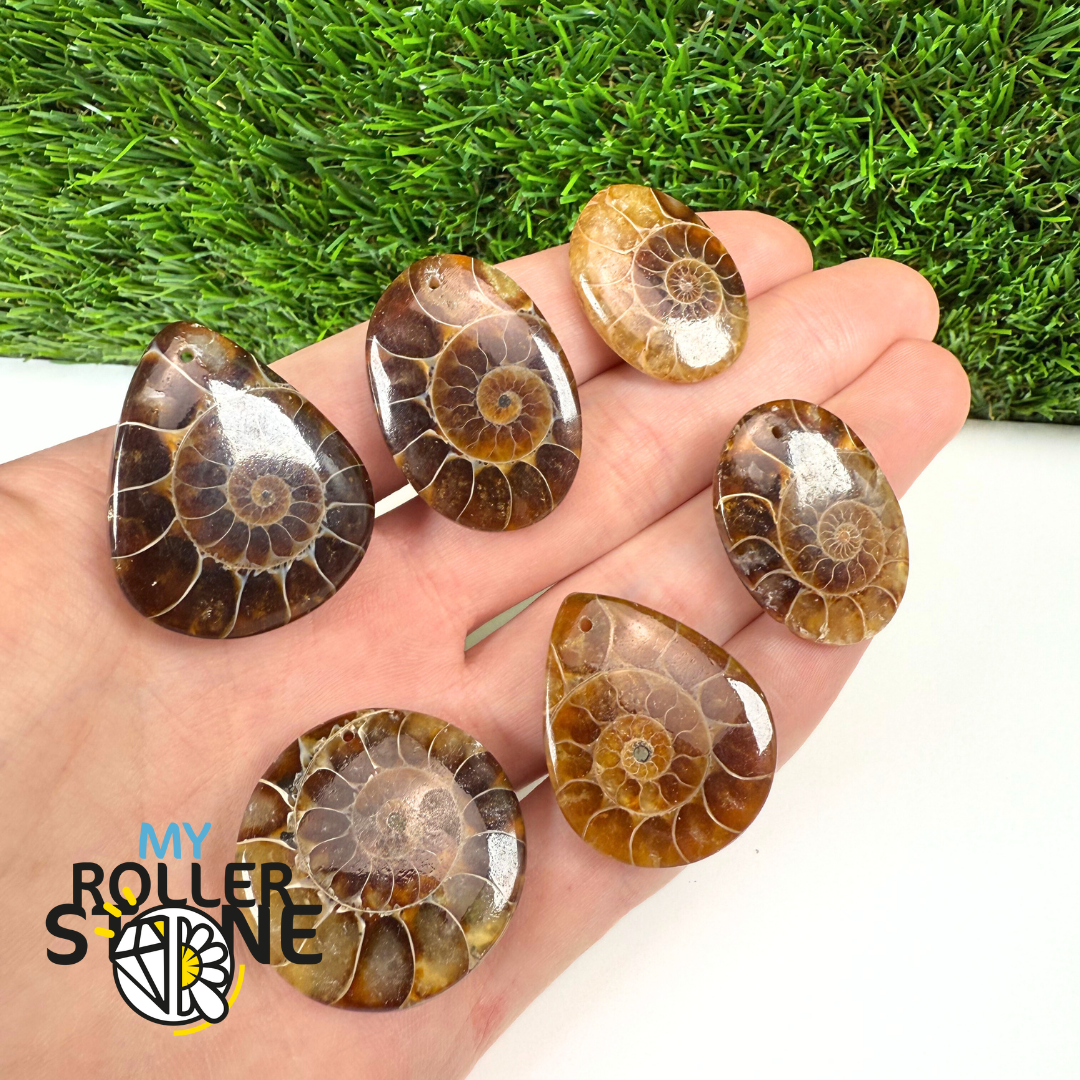 Pendentif Ammonite 5A Percé