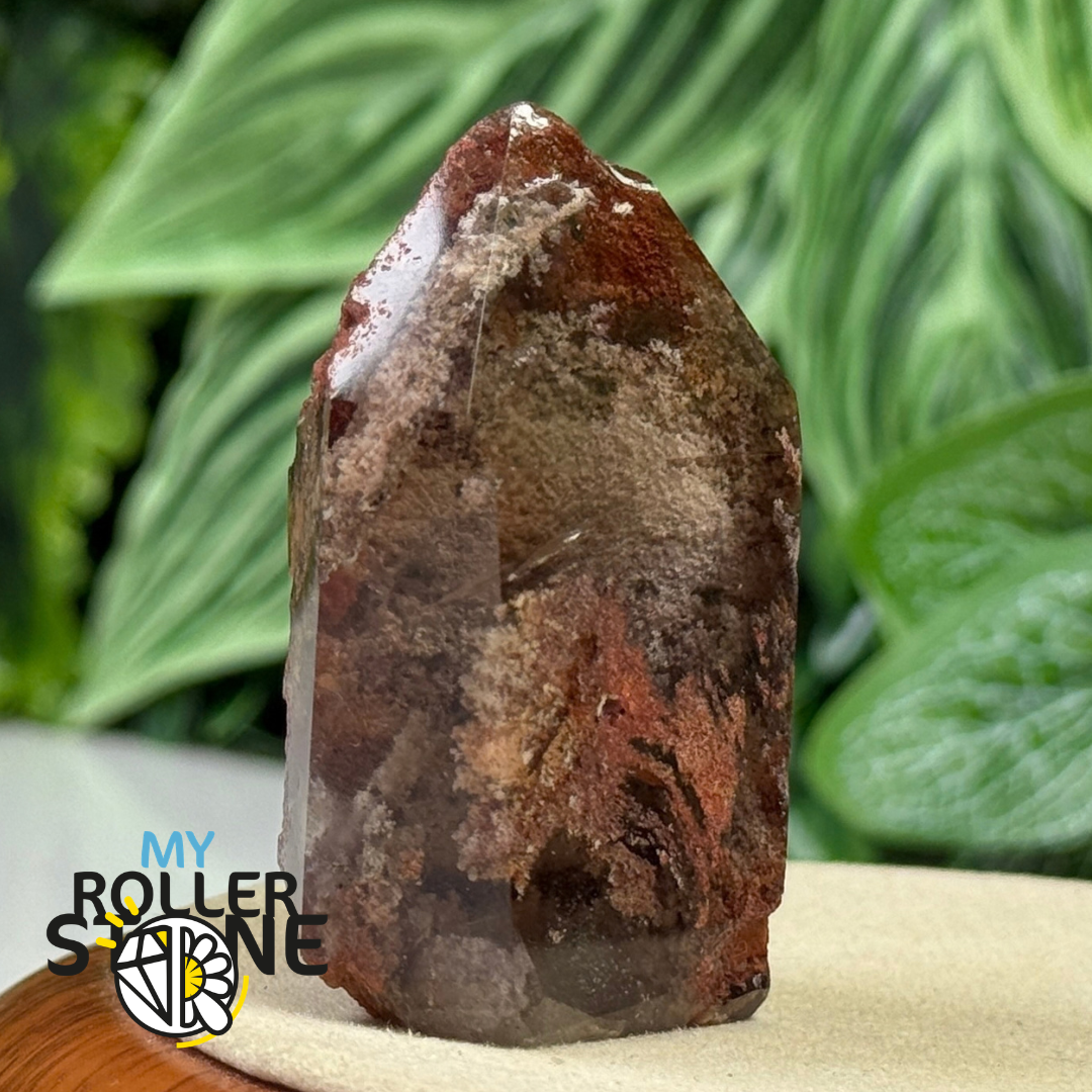 Pointe Lodolite #1