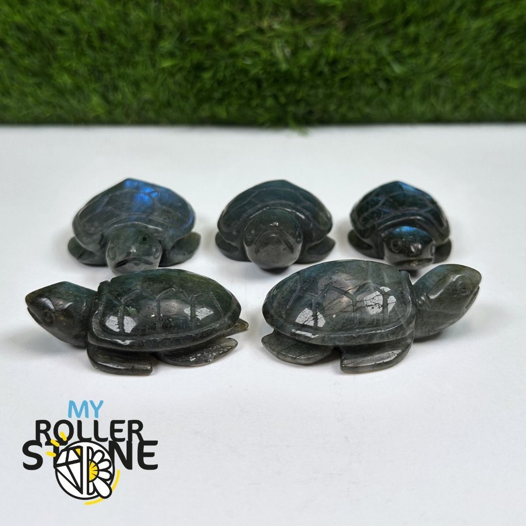 Tortue en Labradorite 