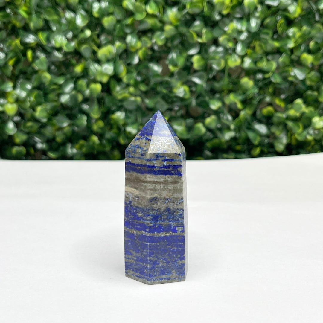 Pointe Pierre Lapis Lazuli #8
