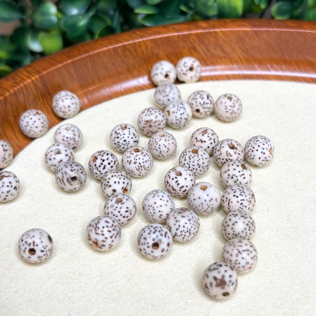 Perle en graine de Bhodi