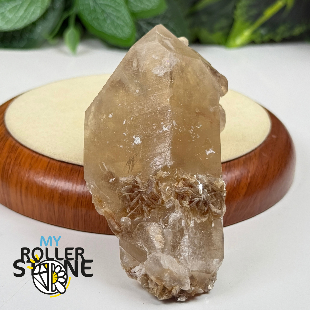 Citrine Naturelle du Brésil #2
