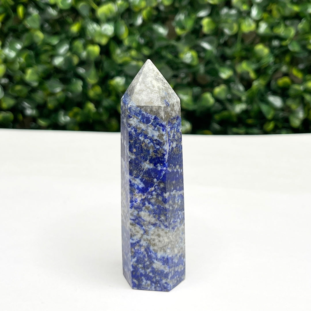 Pointe Pierre Lapis Lazuli #18