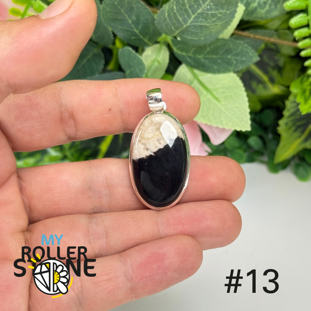 Pendentif argent 925 bois de palmier pétrifié #WP13