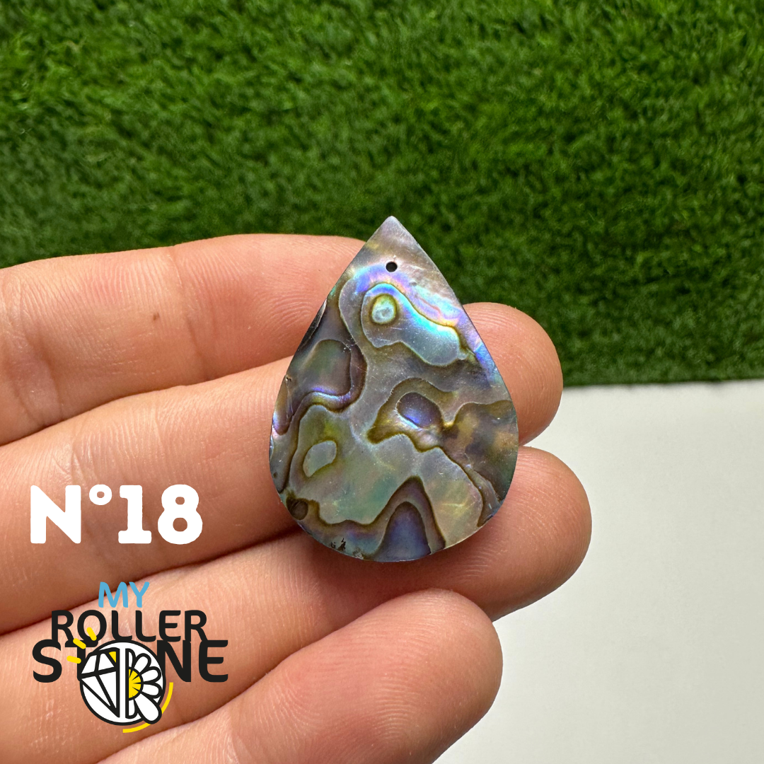 Pendentifs en Abalone Forme Libre 5A
