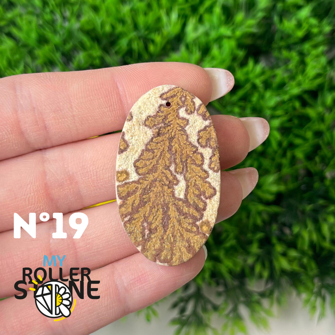 Pendentif Fossil dentritique 5A percé