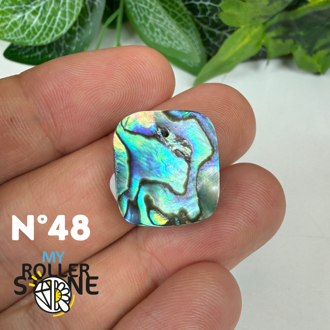 Pendentif en Abalone Forme Libre 5A