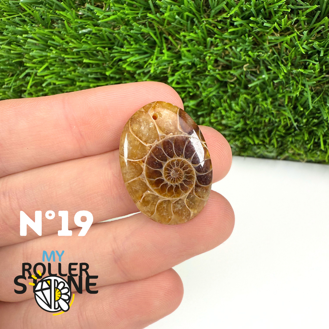 Pendentif Ammonite 5A Percé