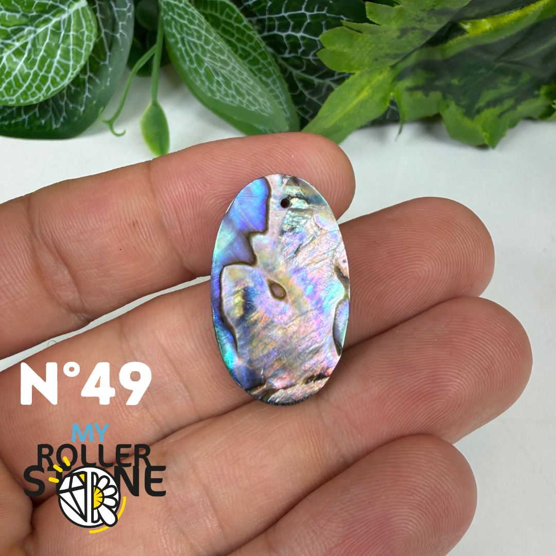 Pendentif en Abalone Forme Libre 5A