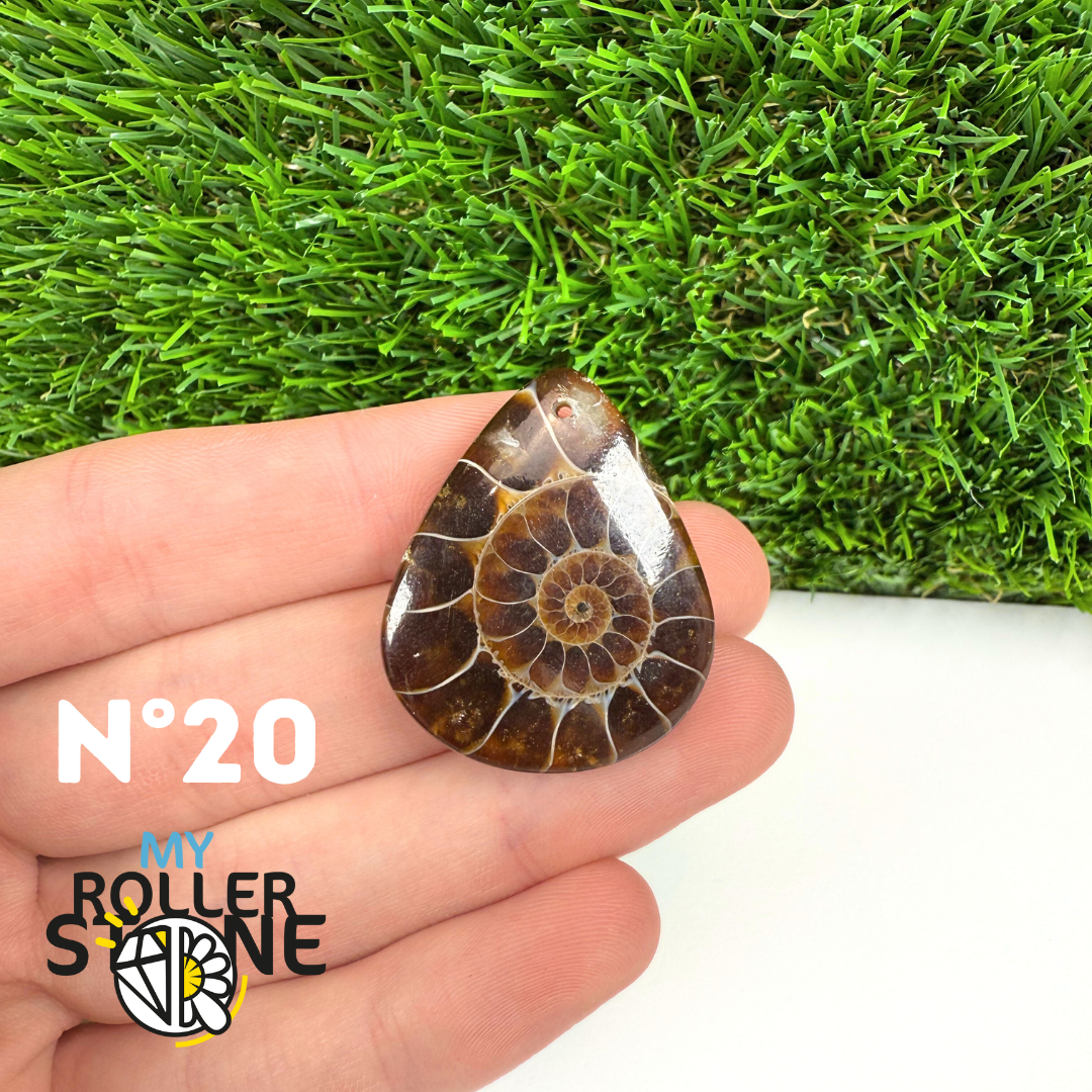 Pendentif Ammonite 5A Percé