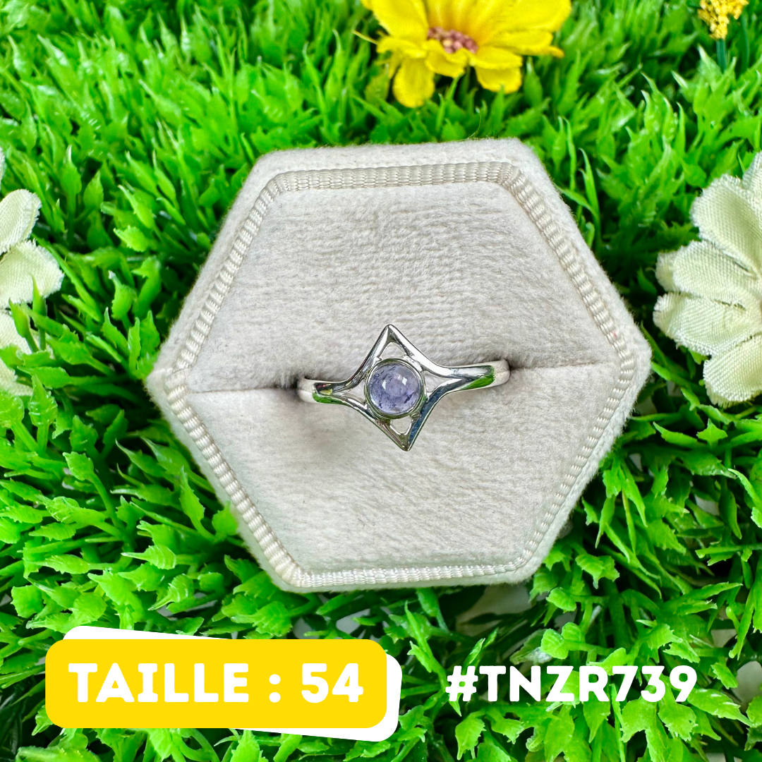 Bague Tanzanite Argent 925 (2 tailles) #TNZR739