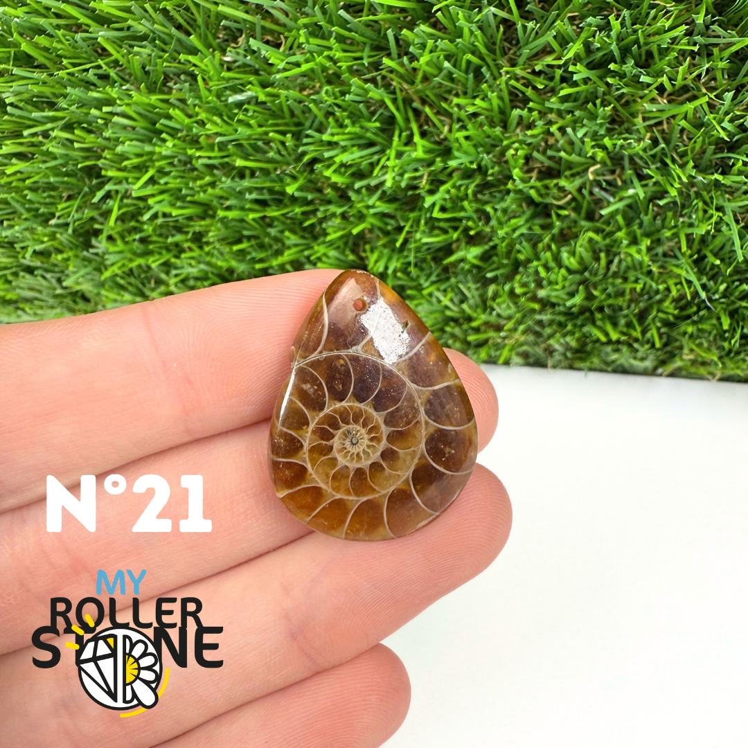 Pendentif Ammonite 5A Percé