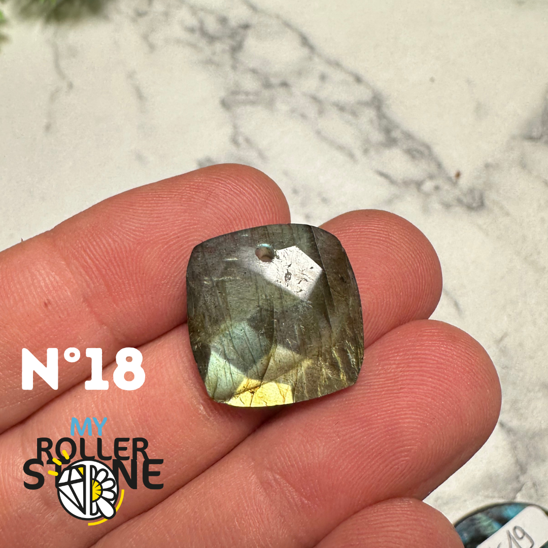 Pendentifs Labradorite forme Libre Facettée