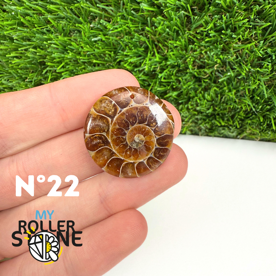 Pendentif Ammonite 5A Percé