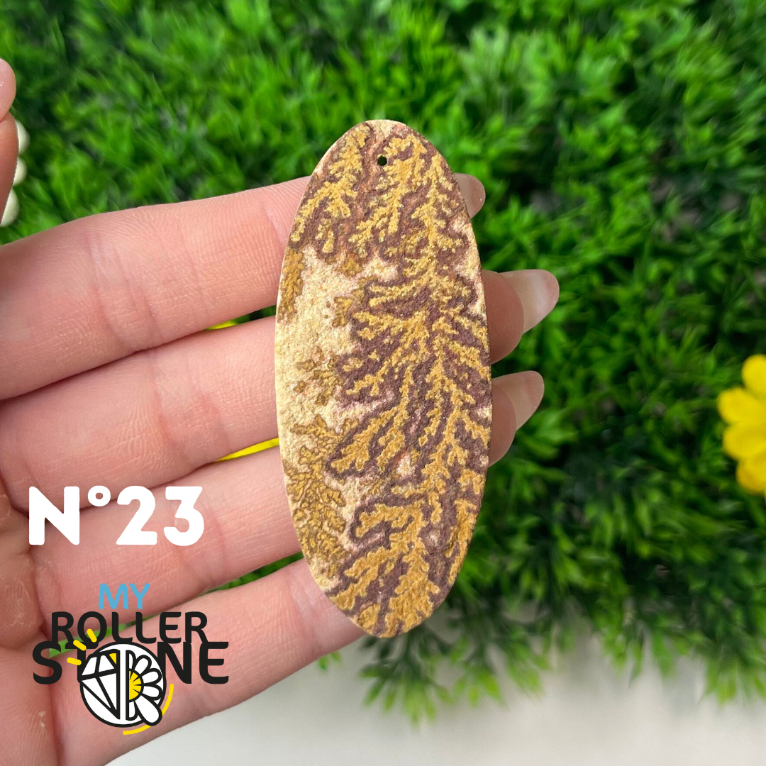 Pendentif Fossil dentritique 5A percé