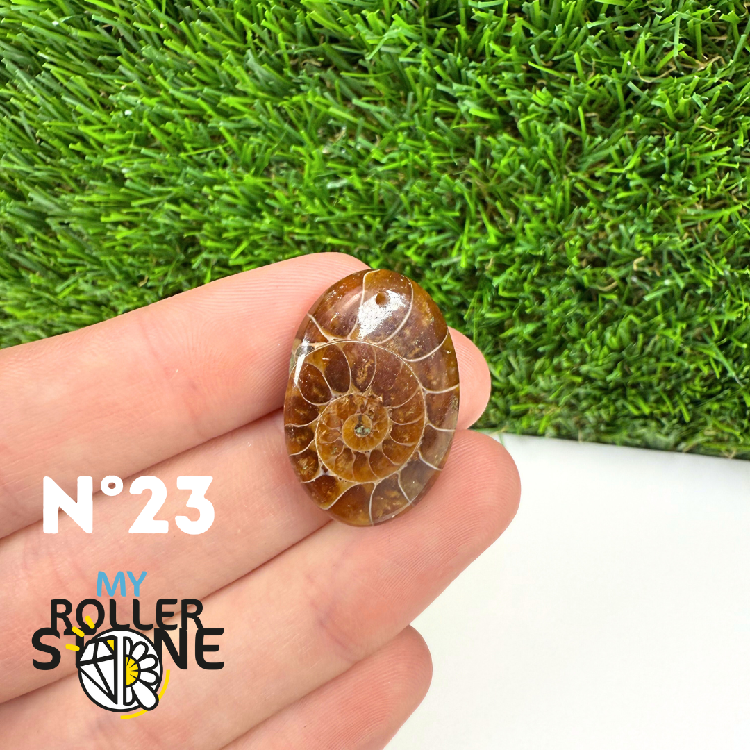 Pendentif Ammonite 5A Percé