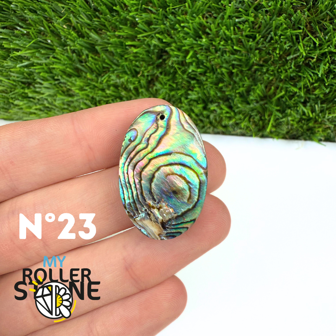 Pendentif en Abalone Forme Libre 5A