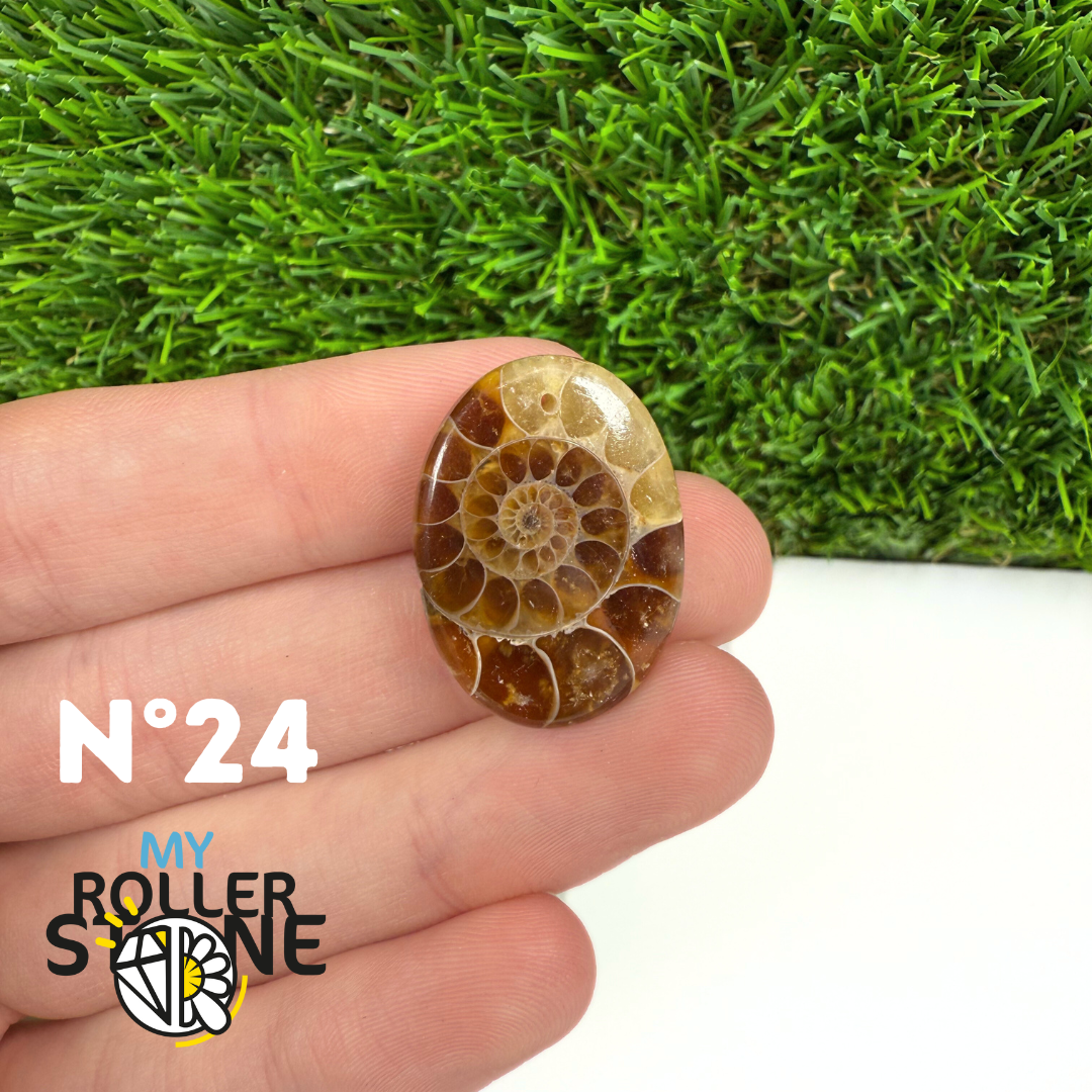 Pendentif Ammonite 5A Percé