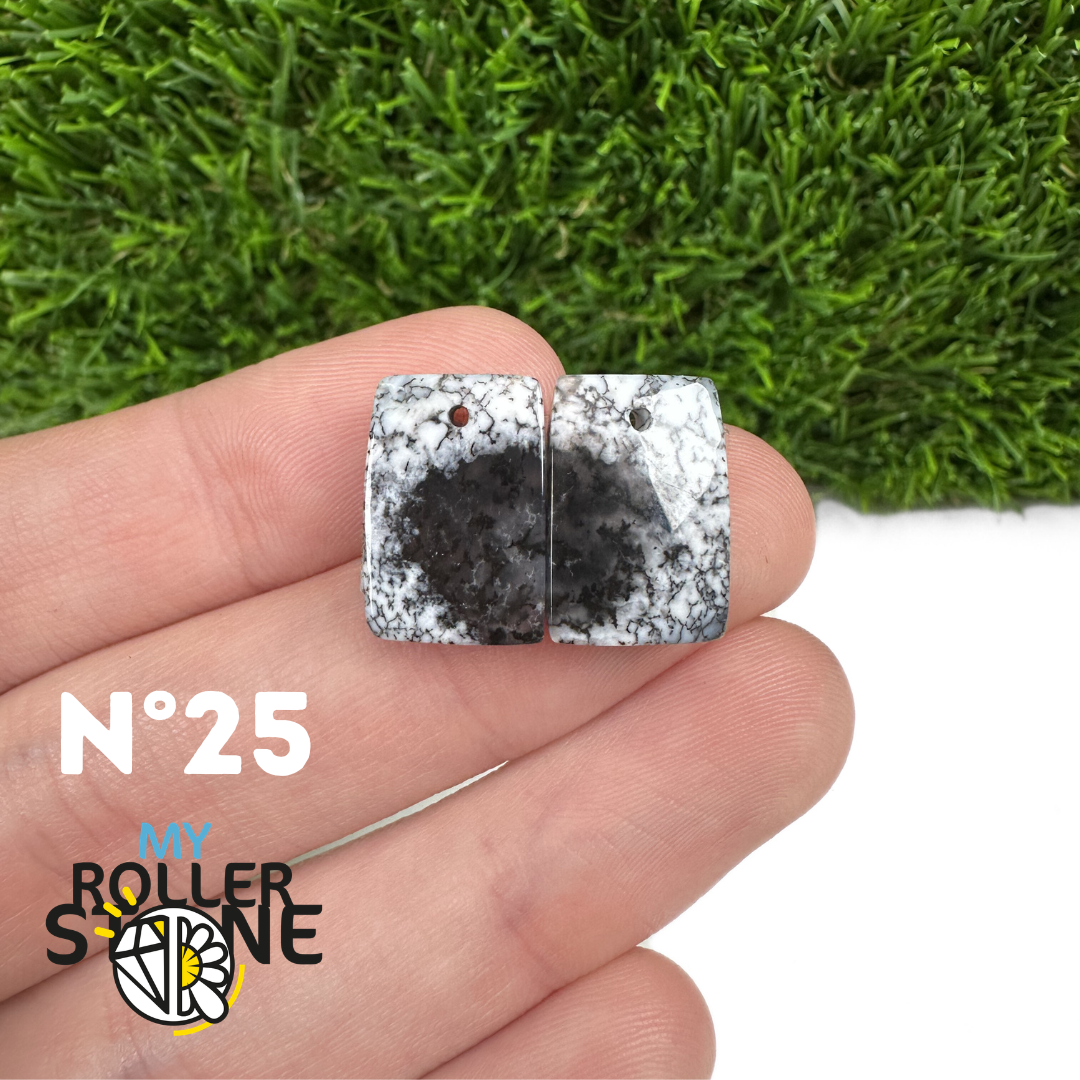 Paire de cabochons Opale Dendritique percé (Pour Boucles d'oreilles)