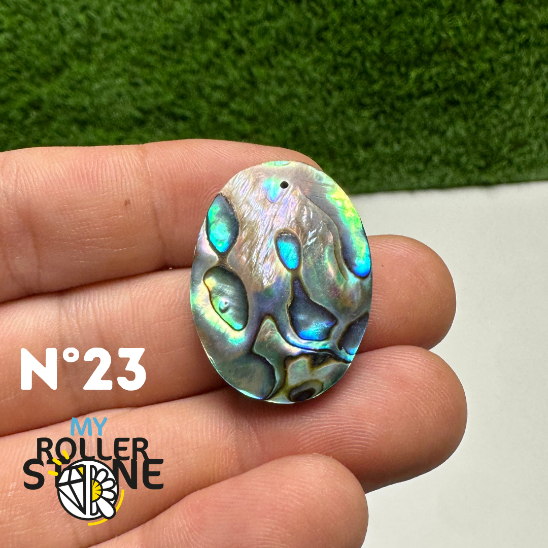 Pendentifs en Abalone Forme Libre 5A
