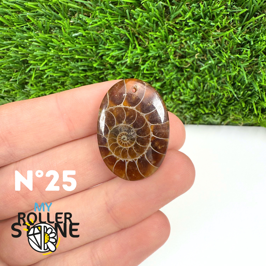 Pendentif Ammonite 5A Percé