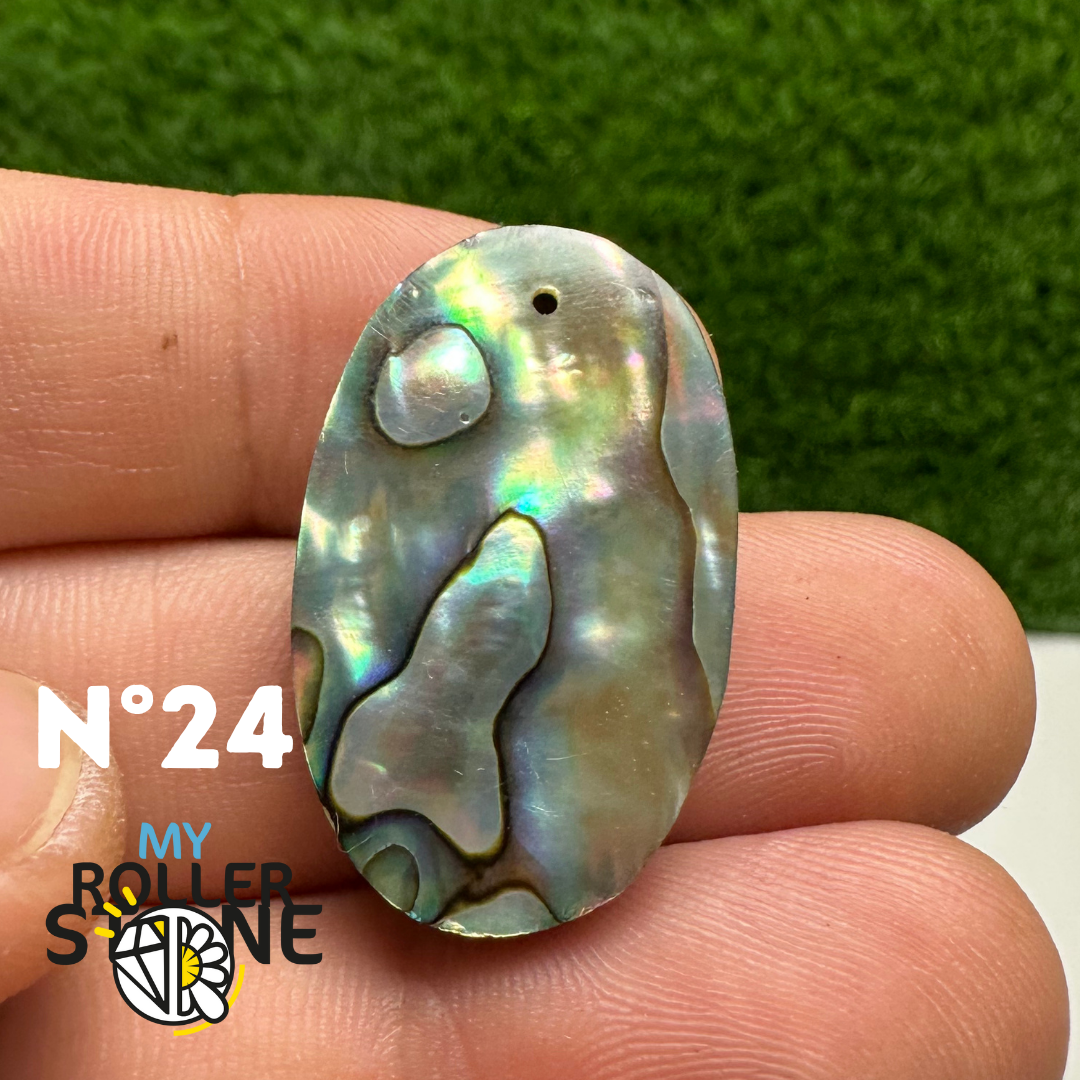 Pendentifs en Abalone Forme Libre 5A