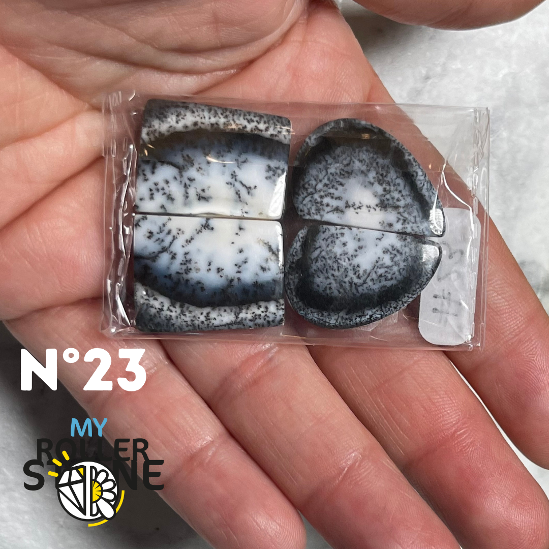 Paire de cabochons Opale Dendritique