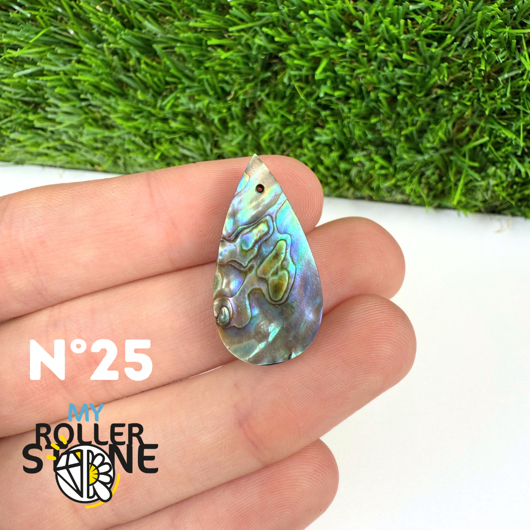 Pendentif en Abalone Forme Libre 5A