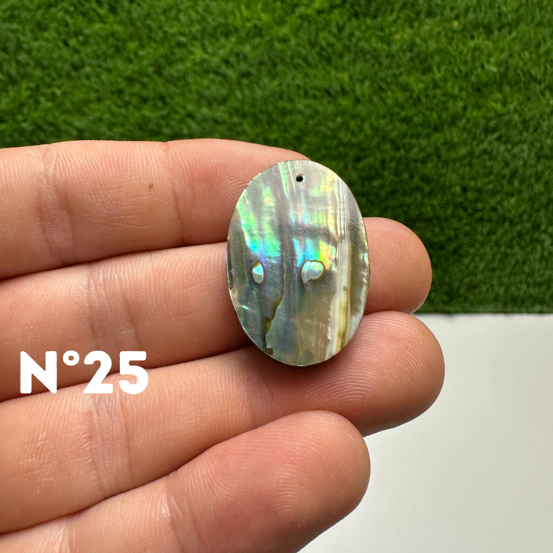 Pendentifs en Abalone Forme Libre 5A