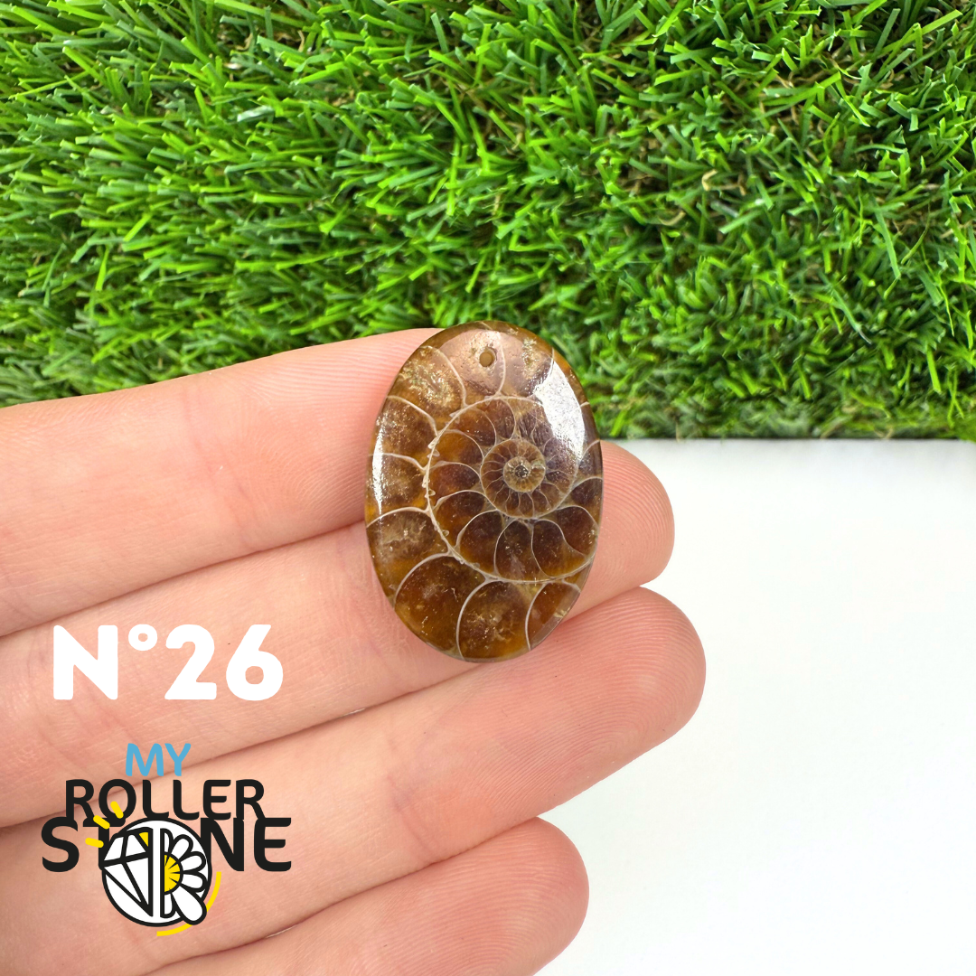 Pendentif Ammonite 5A Percé