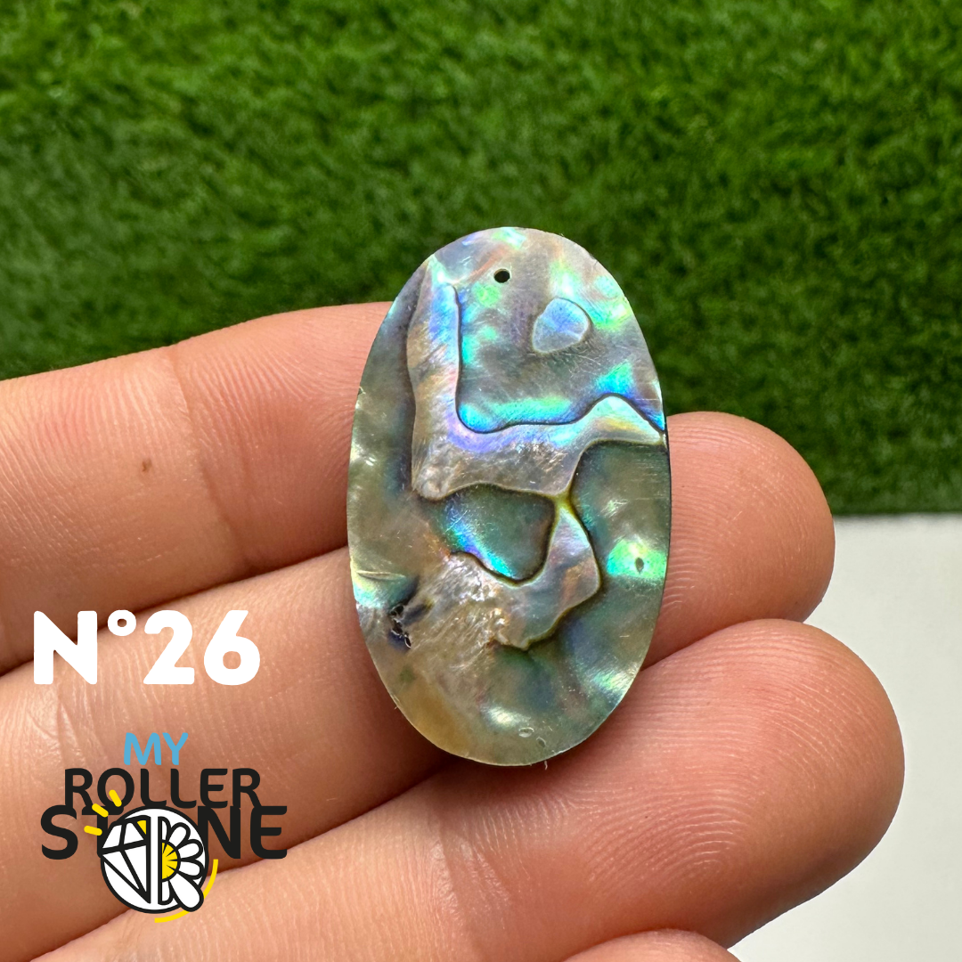 Pendentifs en Abalone Forme Libre 5A