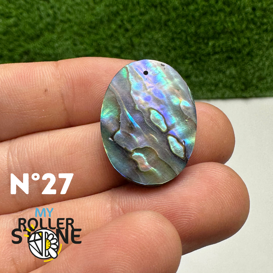 Pendentifs en Abalone Forme Libre 5A