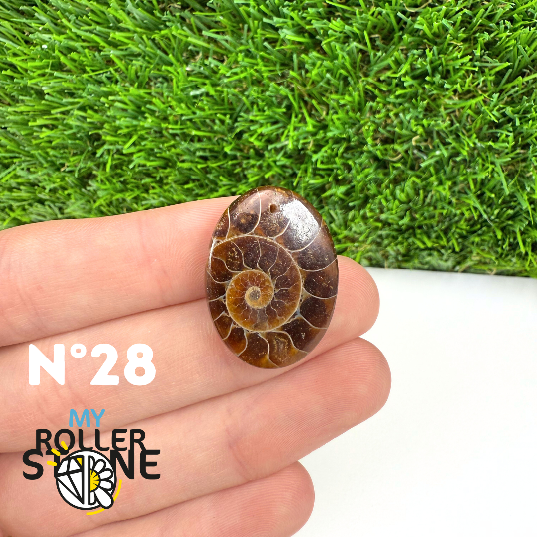 Pendentif Ammonite 5A Percé