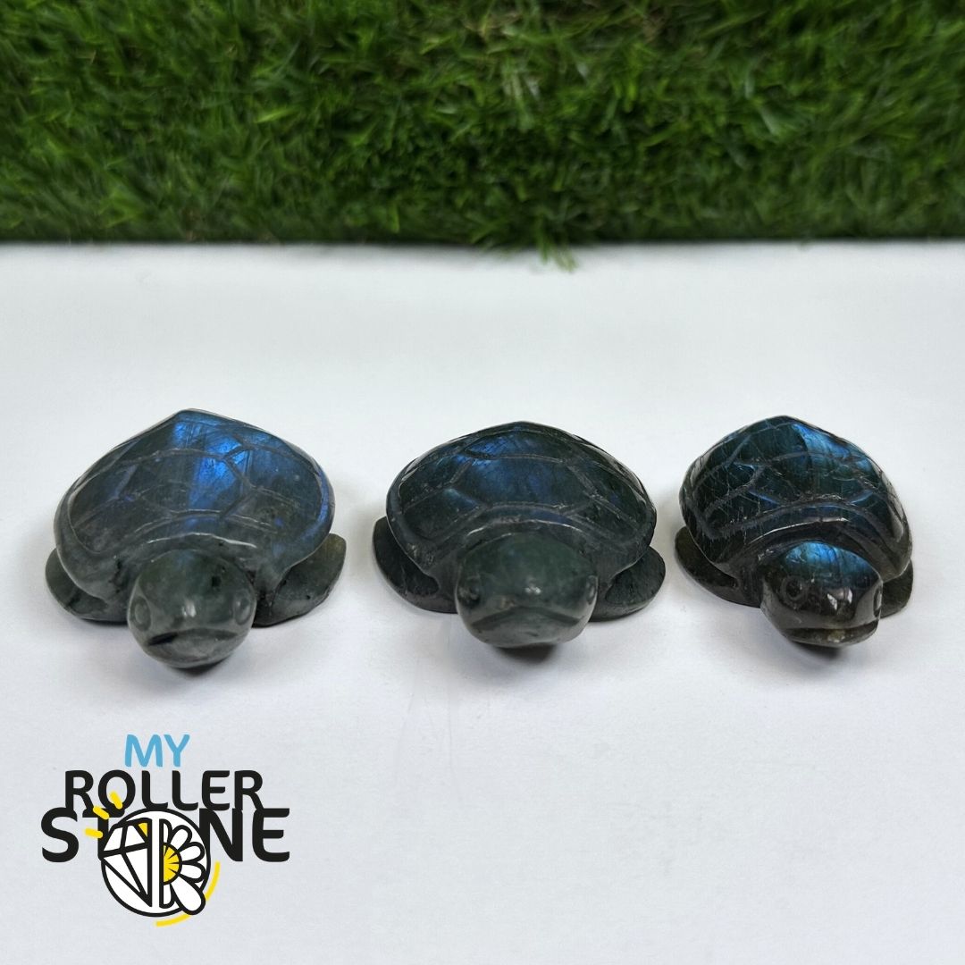 Tortue en Labradorite 