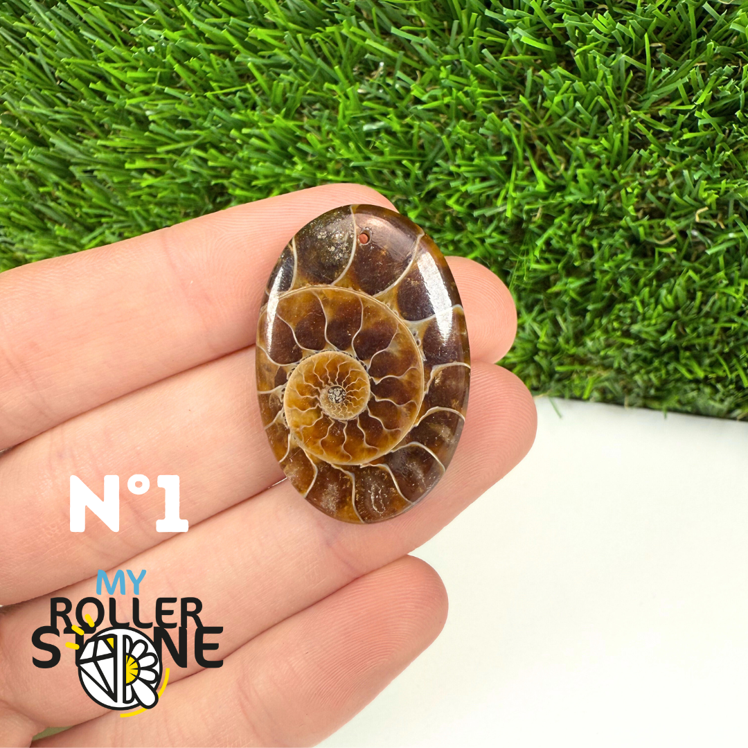 Pendentif Ammonite 5A Percé