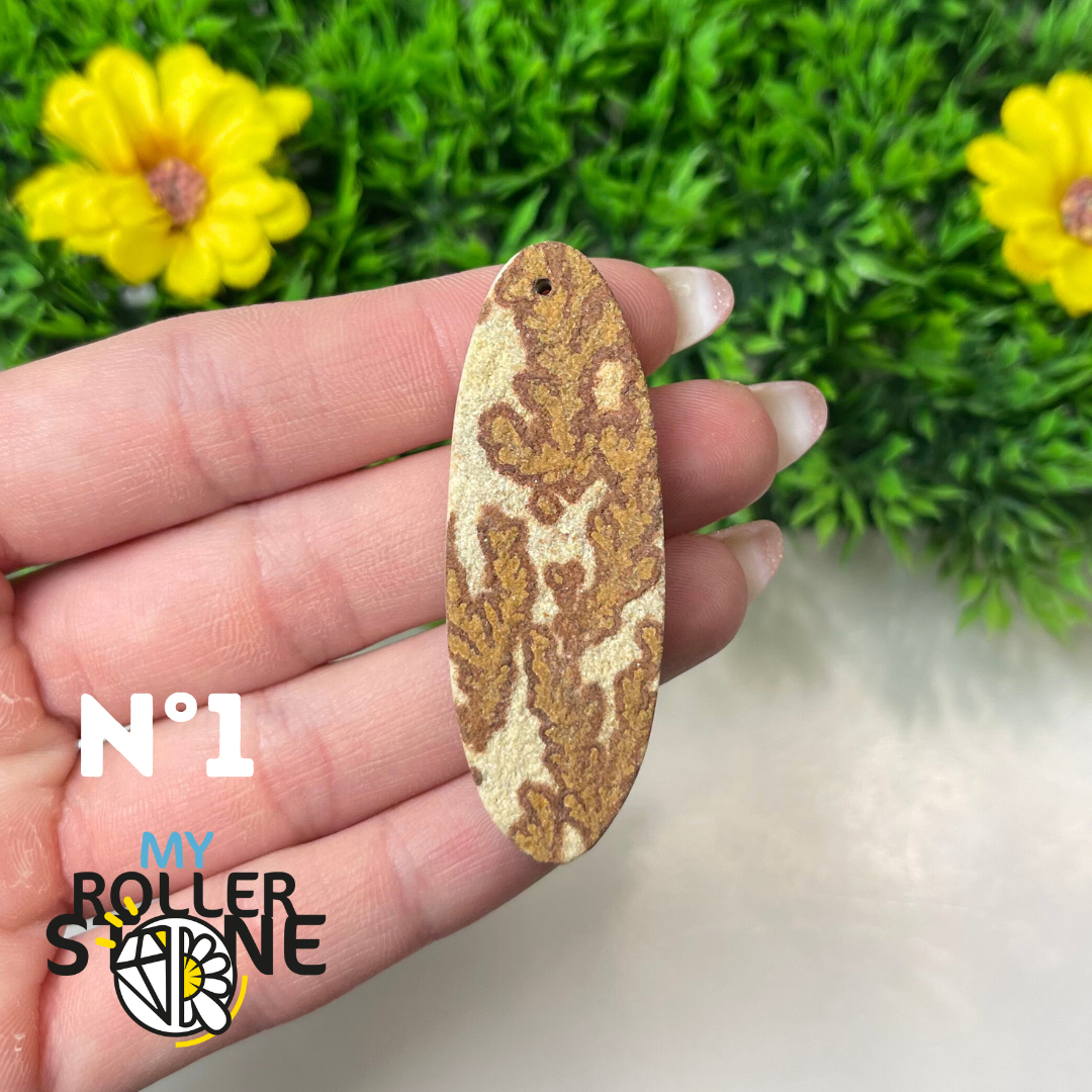 Pendentif Fossil dentritique 5A percé