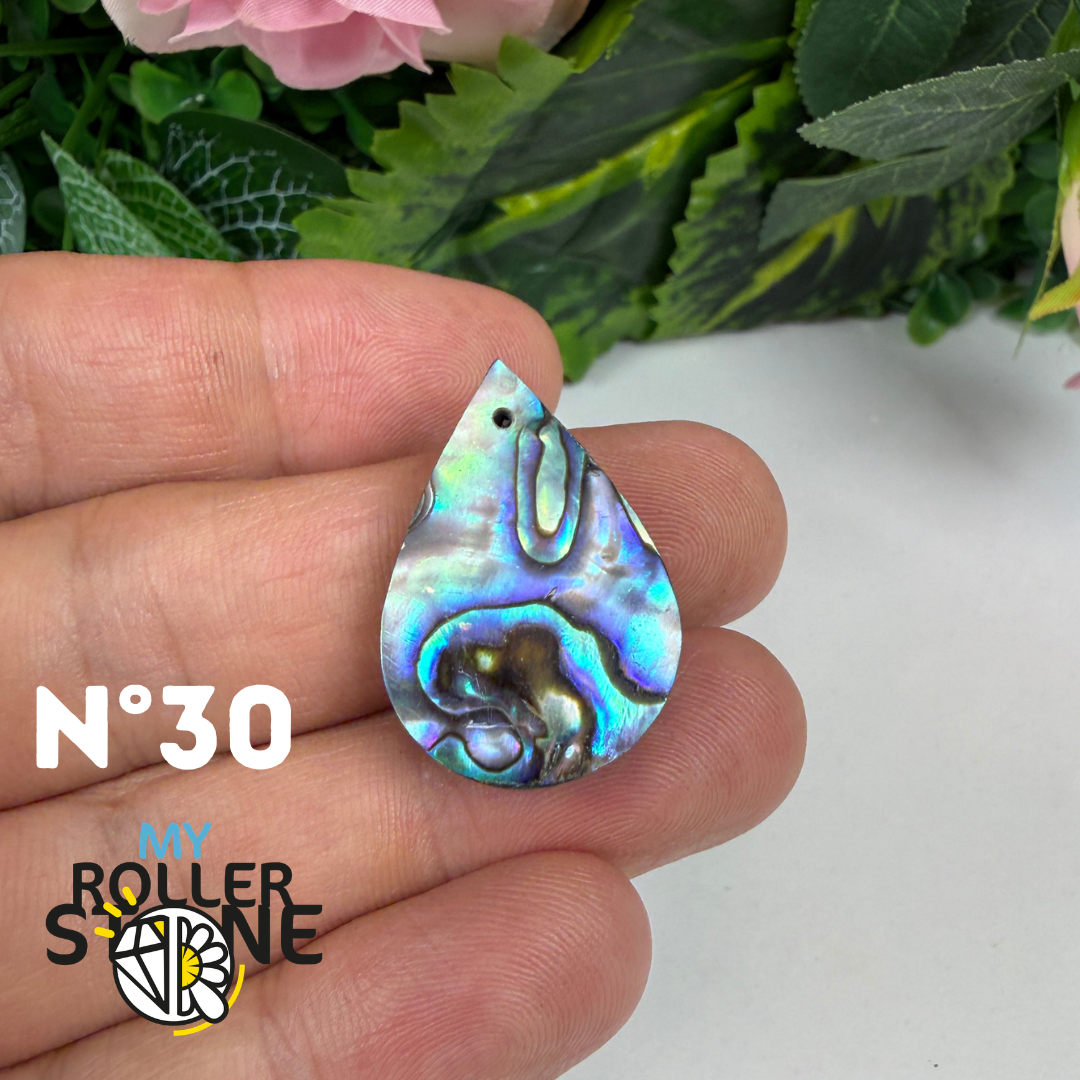 Pendentif en Abalone Forme Libre 5A