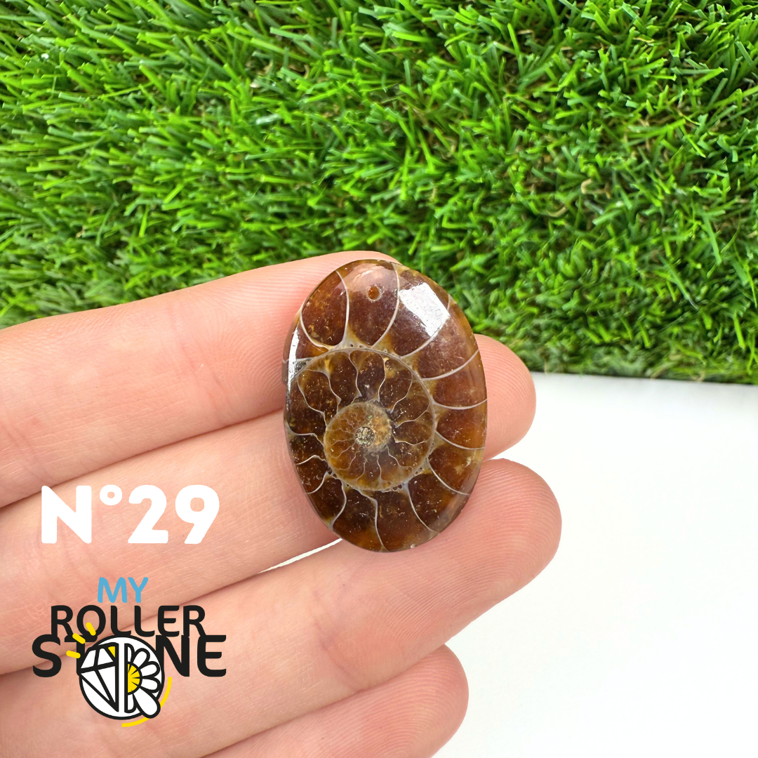Pendentif Ammonite 5A Percé