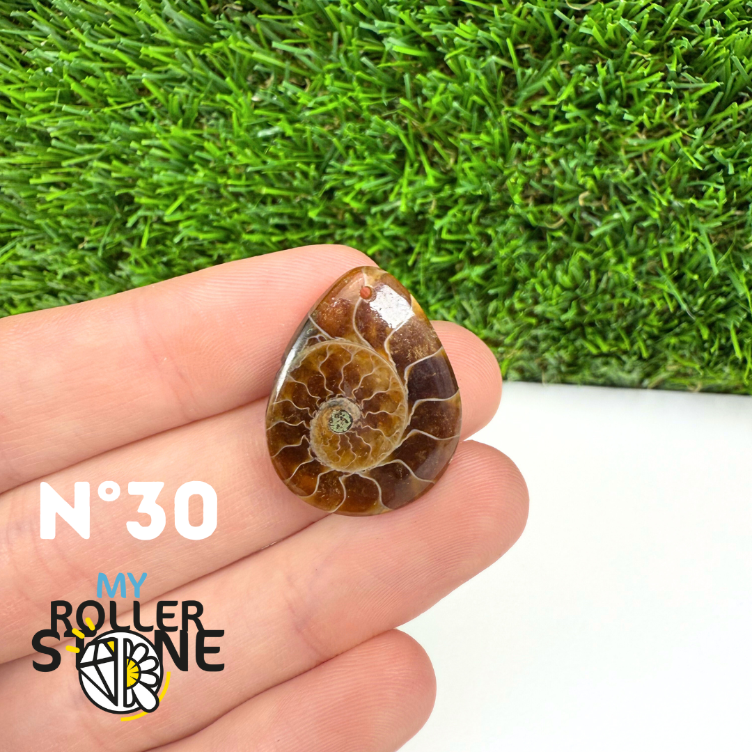 Pendentif Ammonite 5A Percé