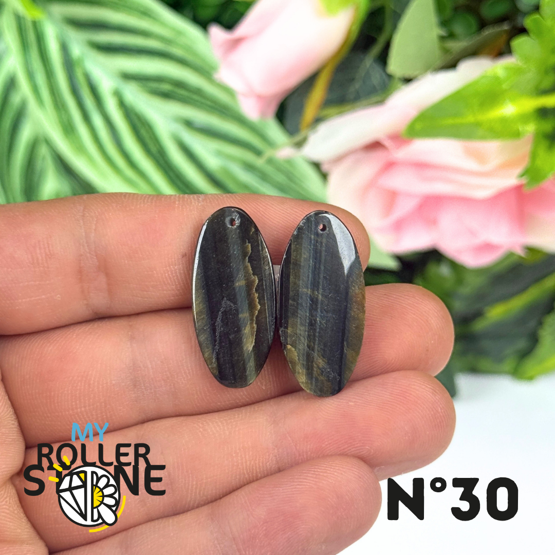 Paire de Cabochon percé en Oeil de Faucon pour Boucles d'oreilles