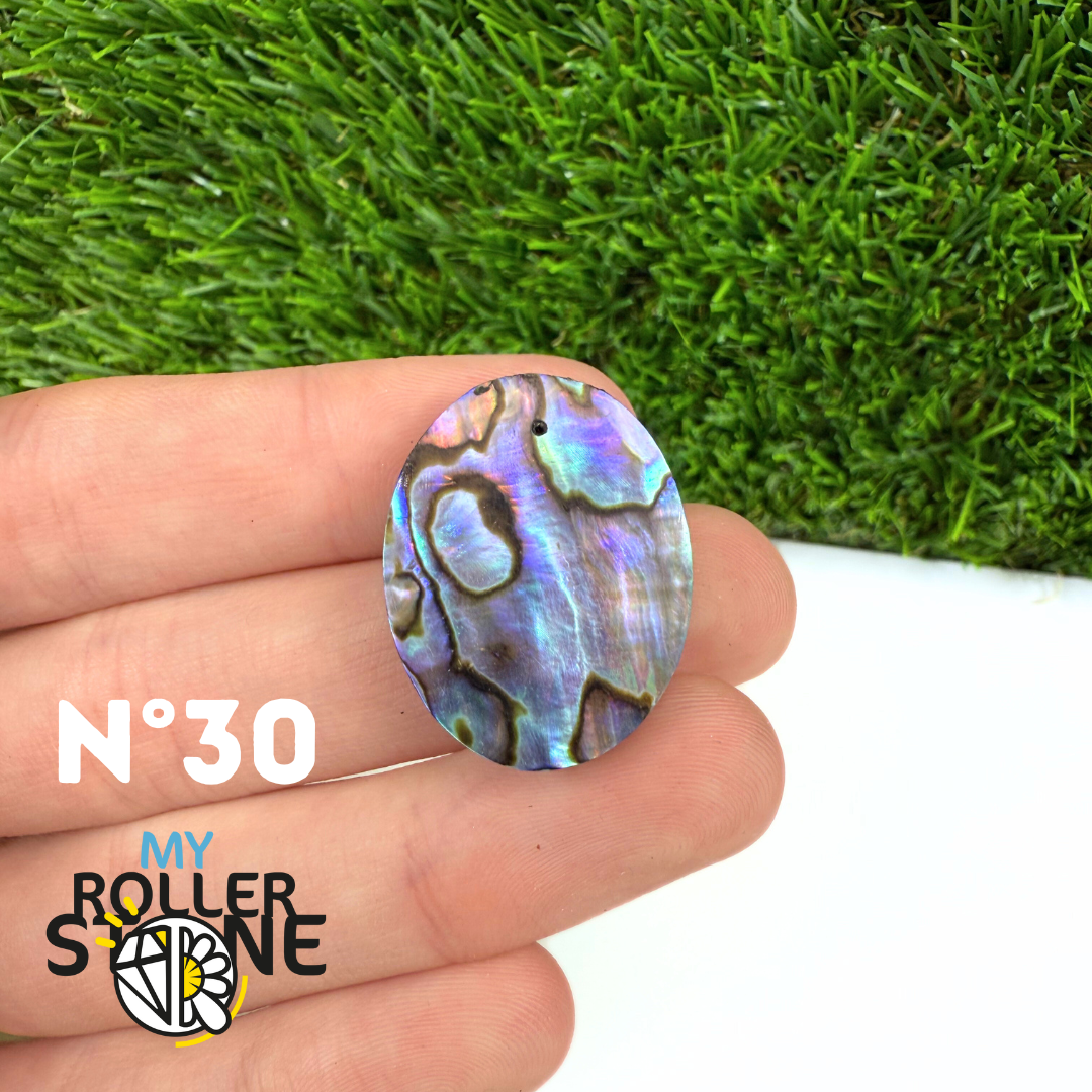 Pendentif en Abalone Forme Libre 5A