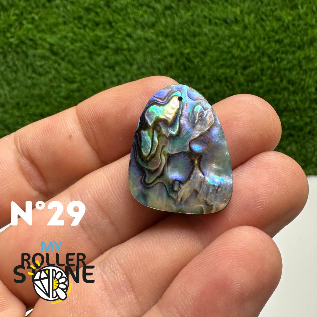 Pendentifs en Abalone Forme Libre 5A