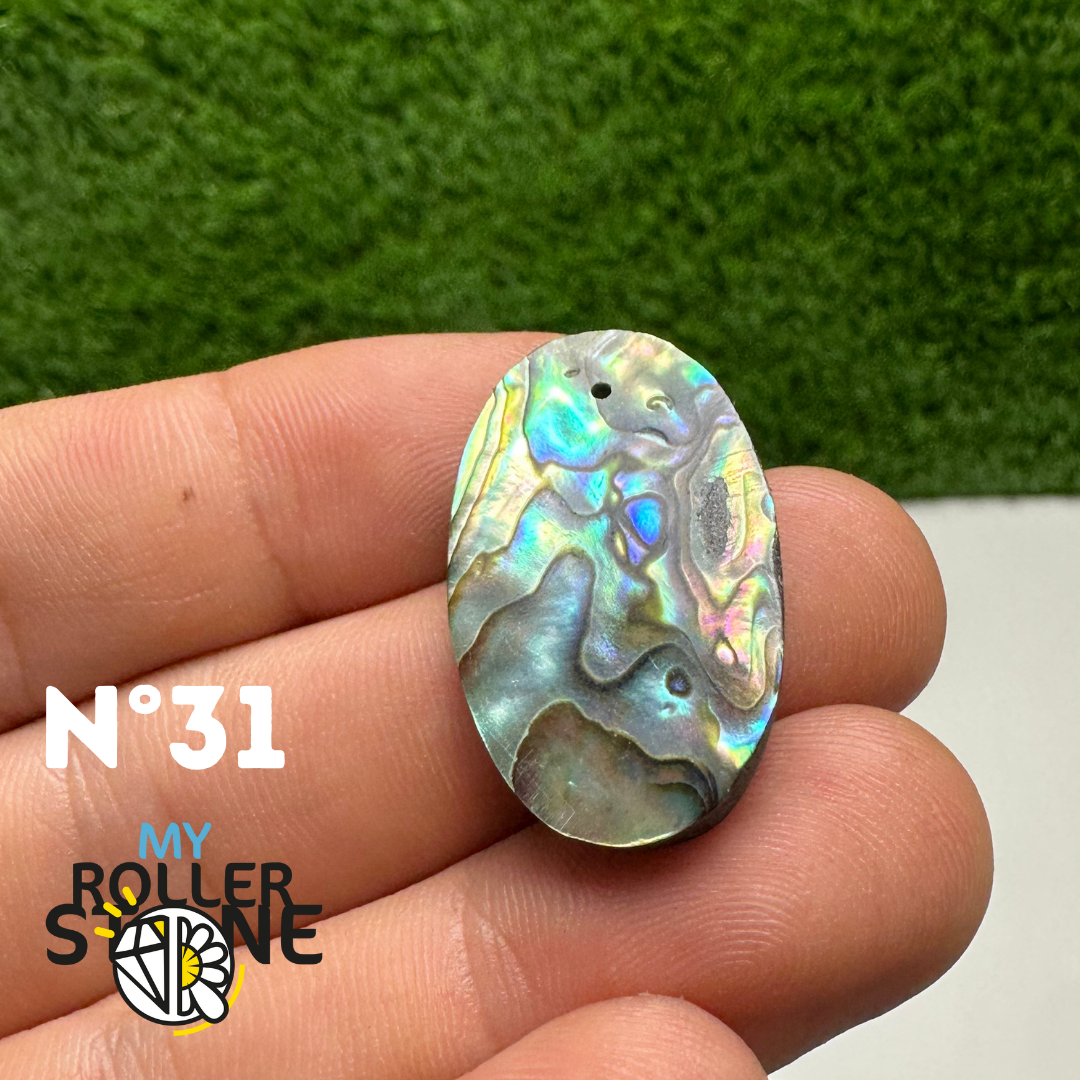 Pendentifs en Abalone Forme Libre 5A