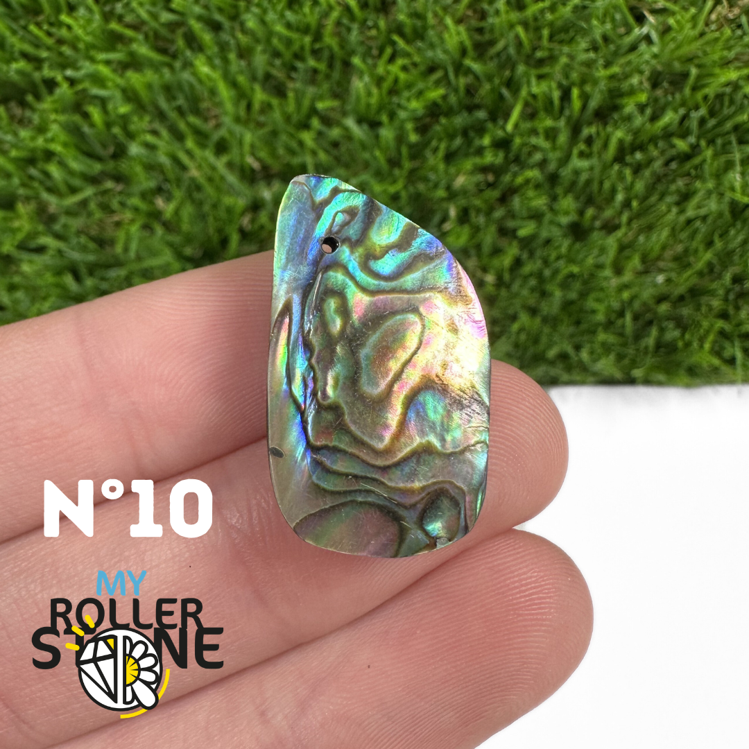 Pendentif en Abalone Forme Libre 5A