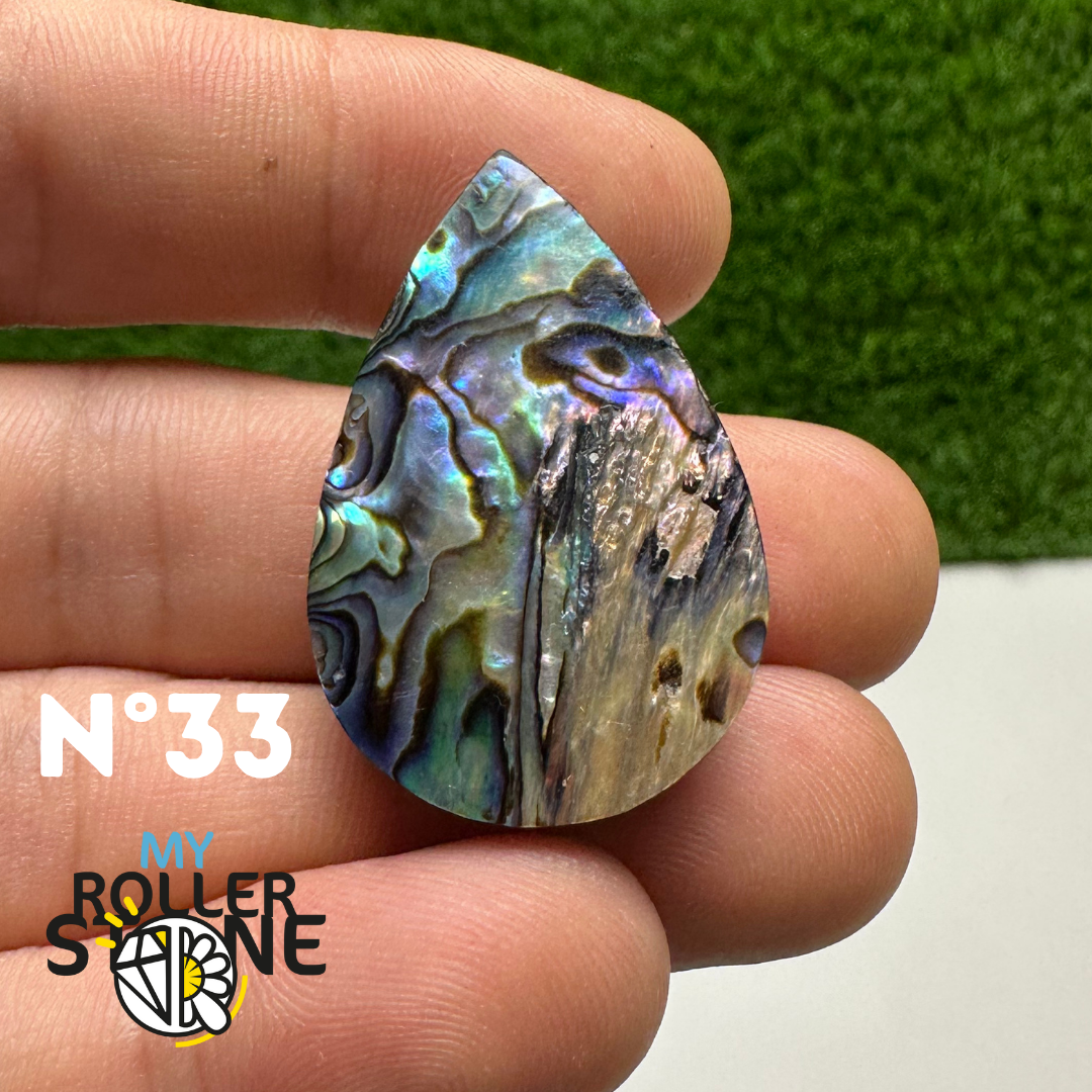 Pendentifs en Abalone Forme Libre 5A