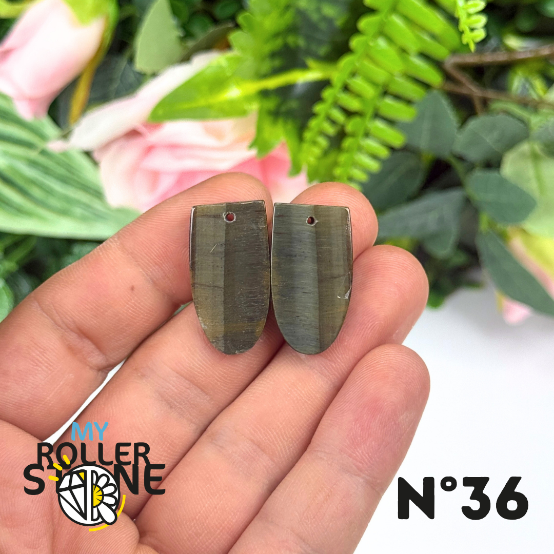 Paire de Cabochon percé en Oeil de Faucon pour Boucles d'oreilles