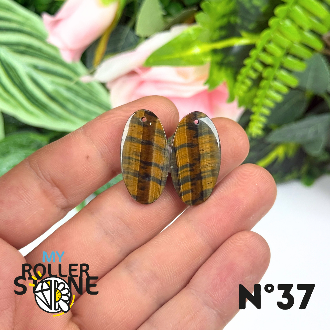 Paire de Cabochon percé en Oeil de Faucon pour Boucles d'oreilles