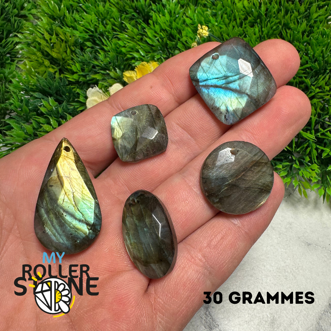 Pendentifs Labradorite forme Libre Facettée