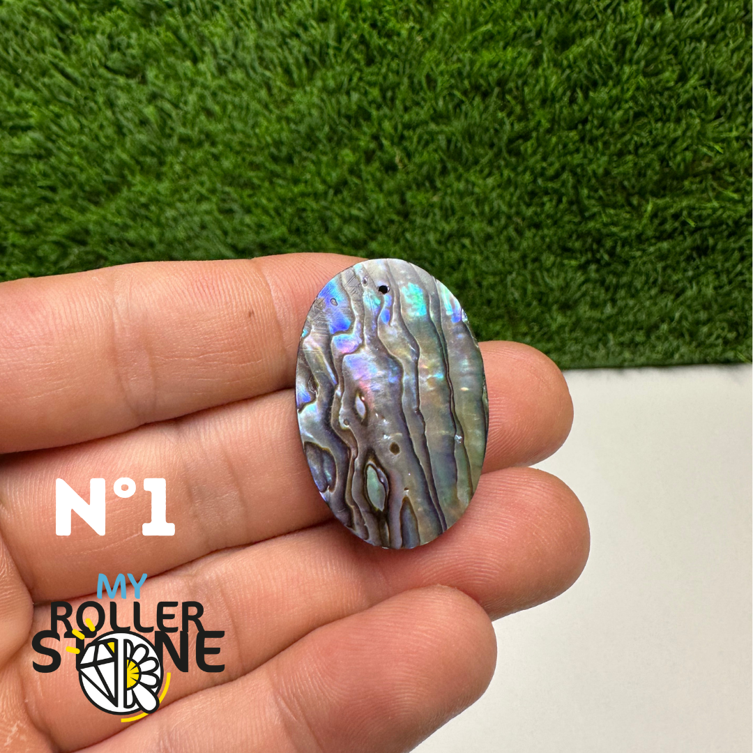 Pendentifs en Abalone Forme Libre 5A
